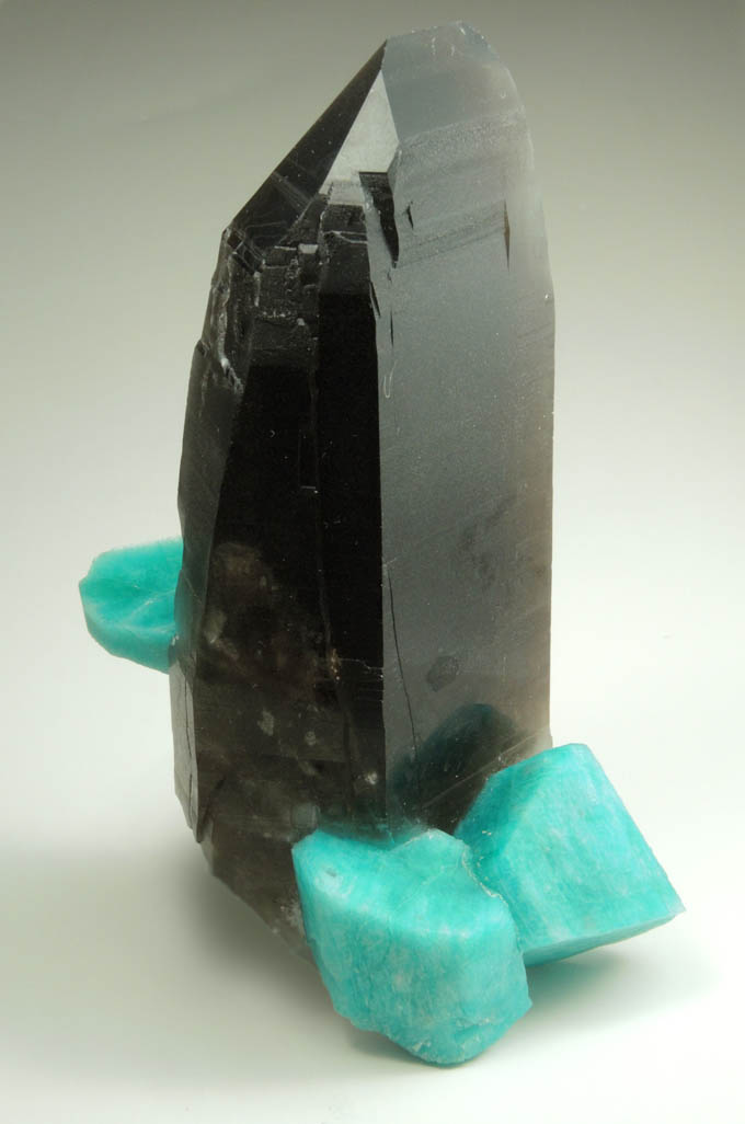 Quartz var. Smoky Quartz on Microcline var. Amazonite from Smoky Hawk Mine, Foretell Pocket, Florissant, Teller County, Colorado