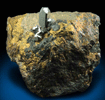 Sperrylite in Chalcopyrite from Oktyabrsky Mine, Talnakh, 22 km NNE of Noril'sk, Krasnoyarsk Krai, Russia