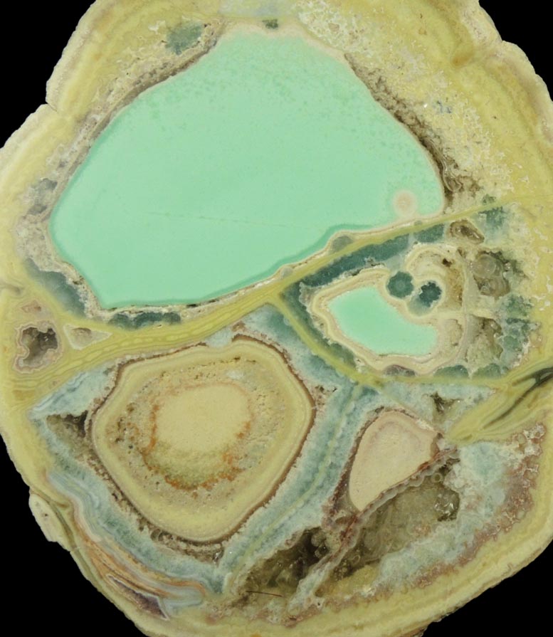 Variscite, Wardite, Crandallite (matched halves of nodule) from Little Green Monster Variscite Mine, Clay Canyon, Fairfield, Utah (Type Locality for Wardite)