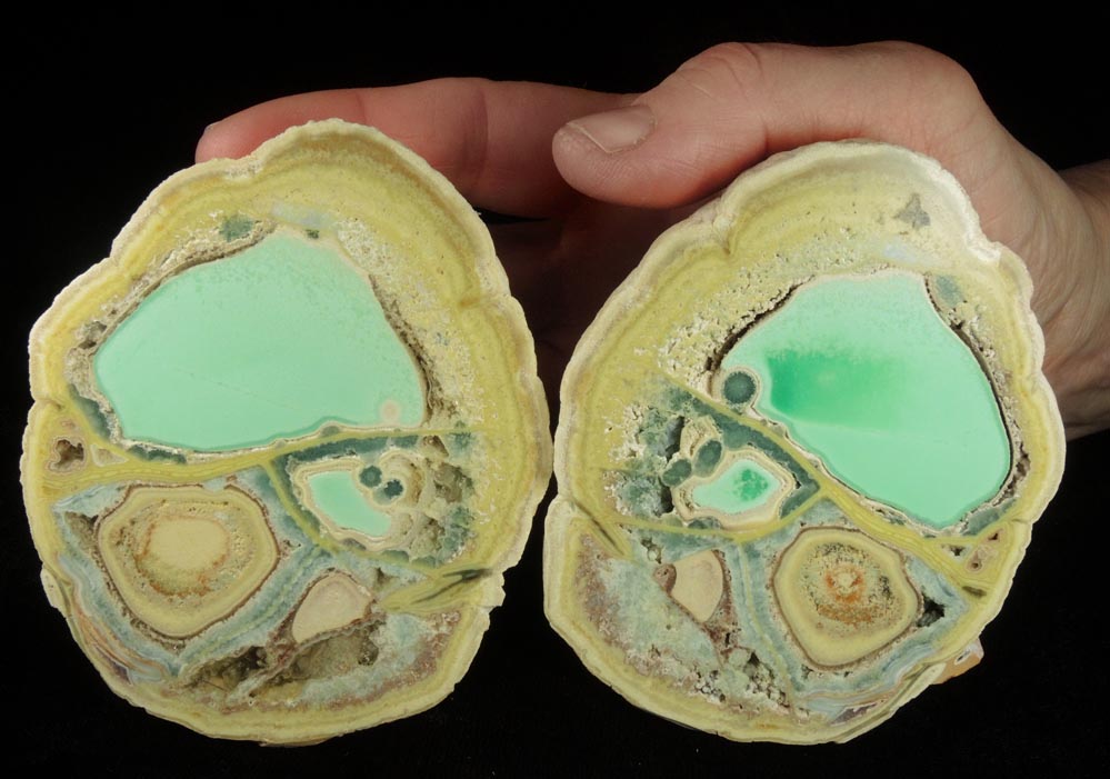 Variscite, Wardite, Crandallite (matched halves of nodule) from Little Green Monster Variscite Mine, Clay Canyon, Fairfield, Utah (Type Locality for Wardite)