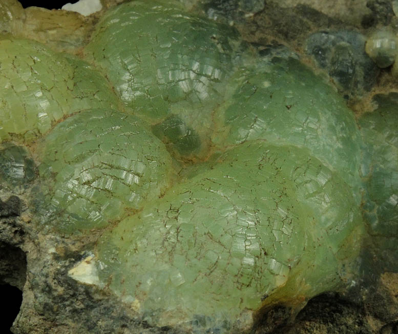 Prehnite from Lower New Street Quarry, Paterson, Passaic County, New Jersey