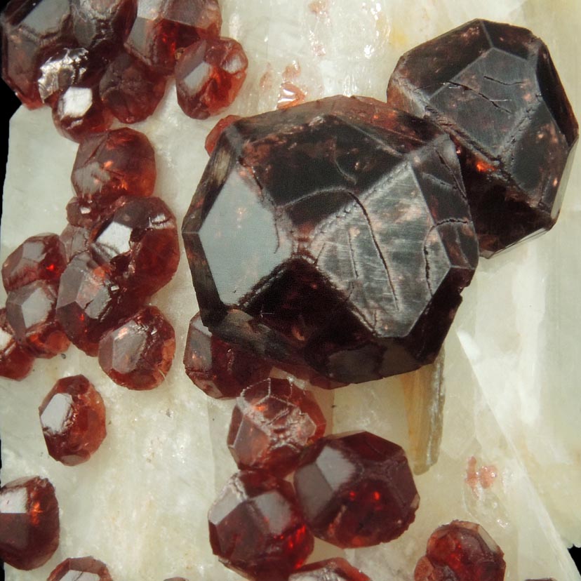 Spessartine Garnet on Microcline from Shengus, Skardu Road, Gilgit-Baltistan, Pakistan