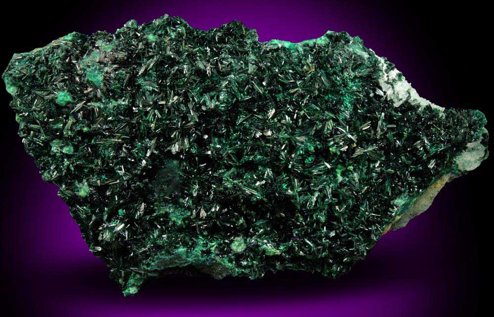 Atacamite with Halloysite from Mina la Farola, Copiapo, Atacama Desert, Chile (Type Locality for Atacamite)