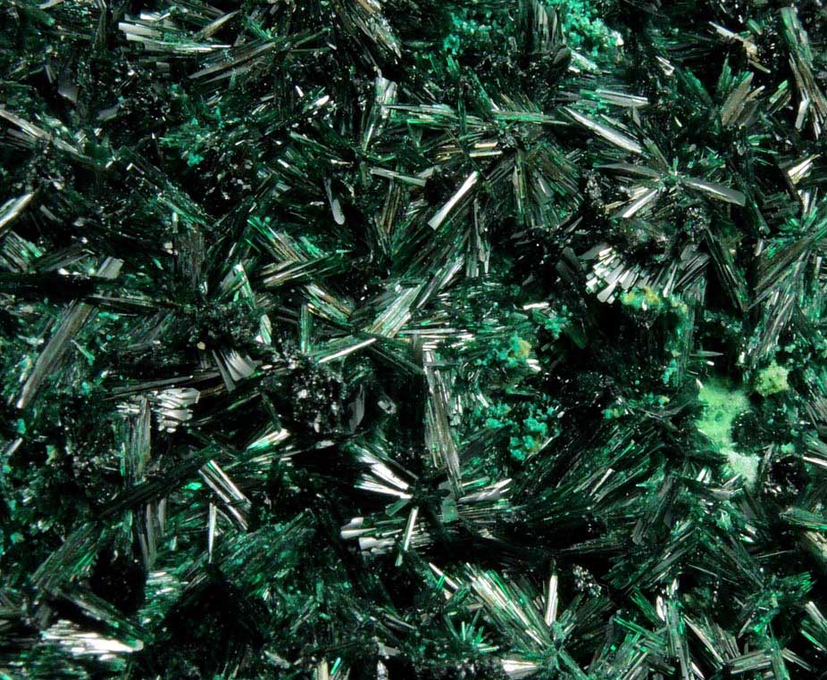 Atacamite with Halloysite from Mina la Farola, Copiapo, Atacama Desert, Chile (Type Locality for Atacamite)