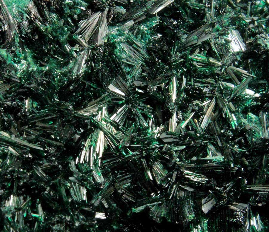 Atacamite with Halloysite from Mina la Farola, Copiapo, Atacama Desert, Chile (Type Locality for Atacamite)