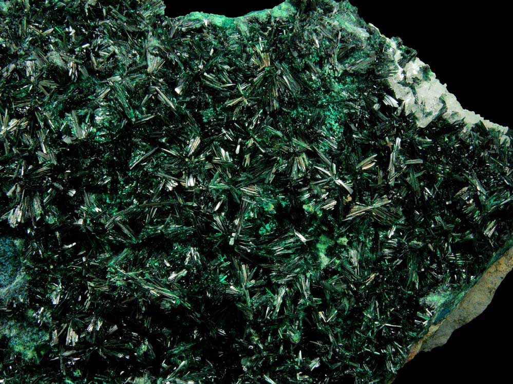 Atacamite with Halloysite from Mina la Farola, Copiapo, Atacama Desert, Chile (Type Locality for Atacamite)