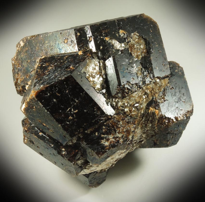 Dravite Tourmaline from Yinnietharra Station, Pilbara, Western Australia, Australia