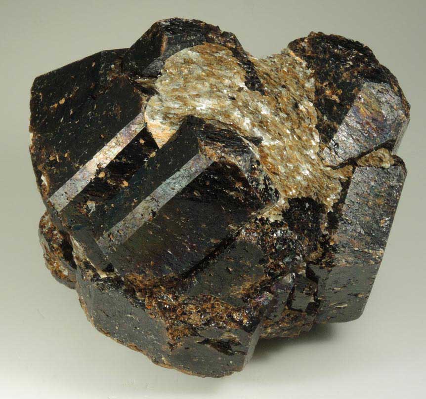 Dravite Tourmaline from Yinnietharra Station, Pilbara, Western Australia, Australia