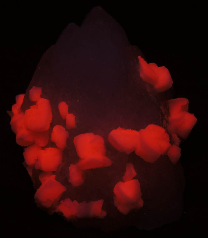 Photo below under shortwave ultraviolet illumination of Quartz with Calcite var. Manganocalcite from Pachapaqui District, Bolognesi Province, Ancash Department, Peru Quartz with Calcite var. Manganocalcite from Pachapaqui District, Bolognesi Province, Ancash Department, Peru
