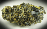 Andradite Garnet with Clinochlore and Diopside on Epidote from Marki Khel, Spin Ghar Mountains, southwest of Jalalabad, Nangarhar, Afghanistan