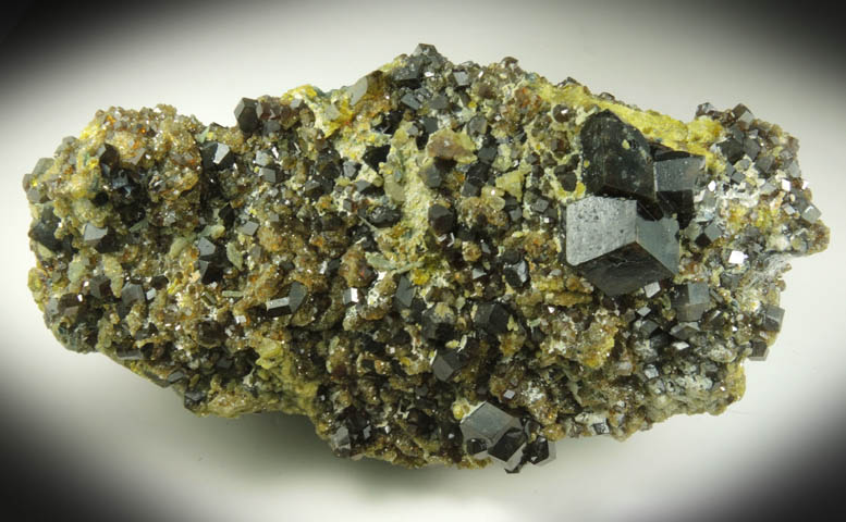 Andradite Garnet with Clinochlore and Diopside on Epidote from Marki Khel, Spin Ghar Mountains, southwest of Jalalabad, Nangarhar, Afghanistan