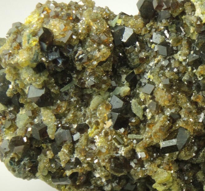 Andradite Garnet with Clinochlore and Diopside on Epidote from Marki Khel, Spin Ghar Mountains, southwest of Jalalabad, Nangarhar, Afghanistan