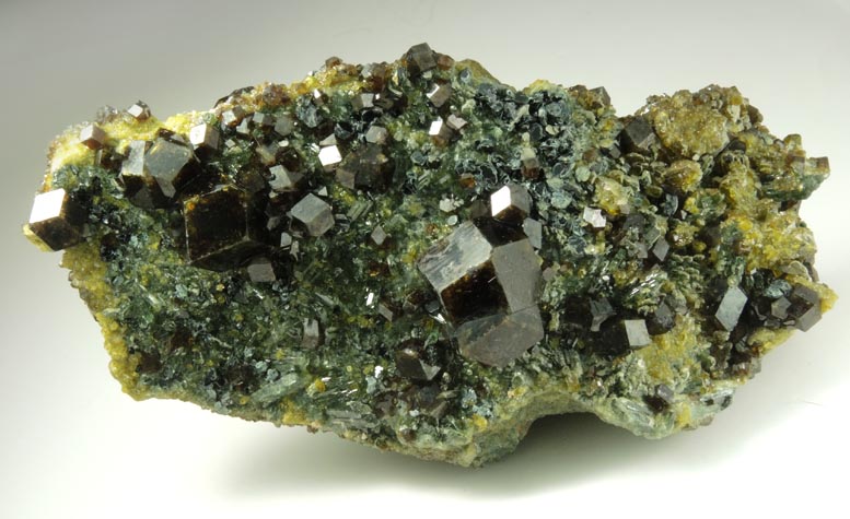 Andradite Garnet with Clinochlore and Diopside on Epidote from Marki Khel, Spin Ghar Mountains, southwest of Jalalabad, Nangarhar, Afghanistan