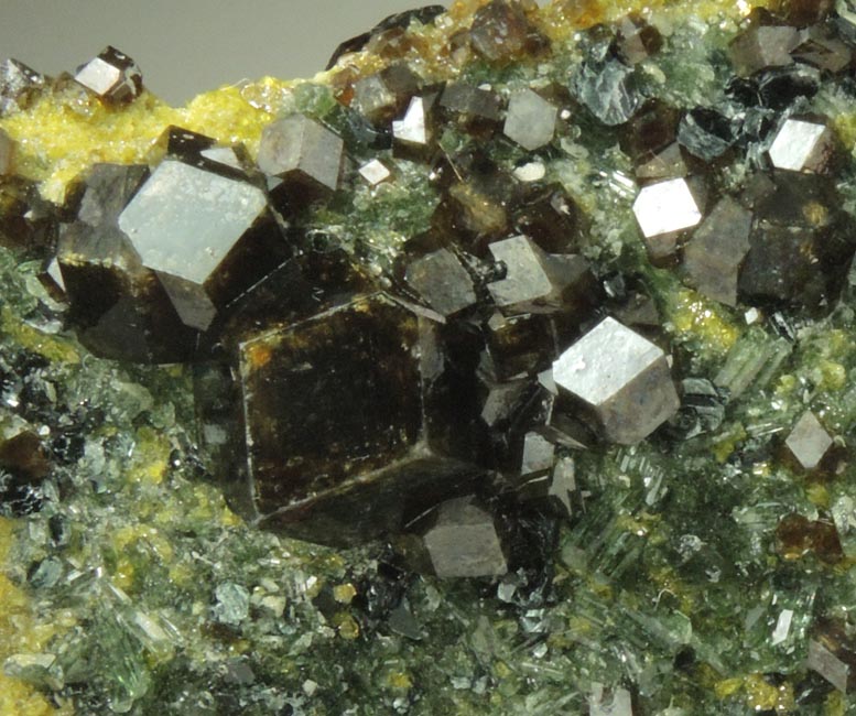 Andradite Garnet with Clinochlore and Diopside on Epidote from Marki Khel, Spin Ghar Mountains, southwest of Jalalabad, Nangarhar, Afghanistan