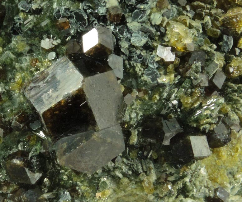 Andradite Garnet with Clinochlore and Diopside on Epidote from Marki Khel, Spin Ghar Mountains, southwest of Jalalabad, Nangarhar, Afghanistan