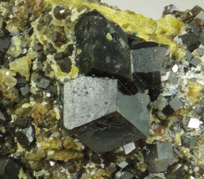 Andradite Garnet with Clinochlore and Diopside on Epidote from Marki Khel, Spin Ghar Mountains, southwest of Jalalabad, Nangarhar, Afghanistan