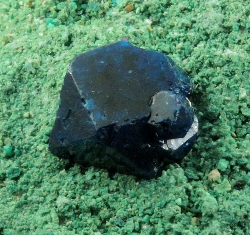 Boleite with Paratacamite from Curuglu Workings, Mina Boleo, near Santa Rosala, Baja California Sur, Mexico (Type Locality for Boleite)