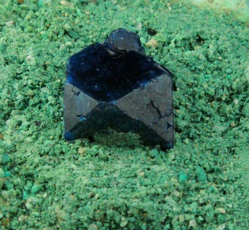 Boleite with Paratacamite from Curuglu Workings, Mina Boleo, near Santa Rosala, Baja California Sur, Mexico (Type Locality for Boleite)