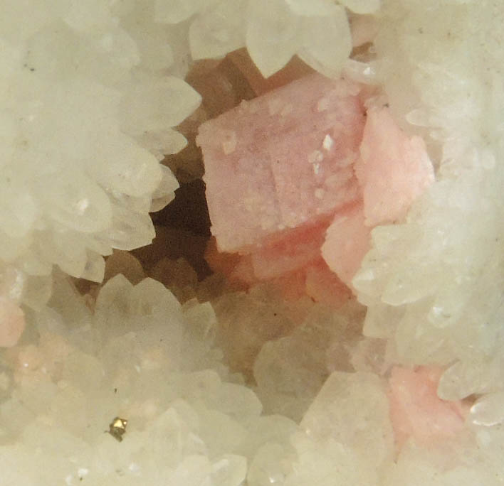 Rhodochrosite on Quartz from Silverton District, San Juan County, Colorado