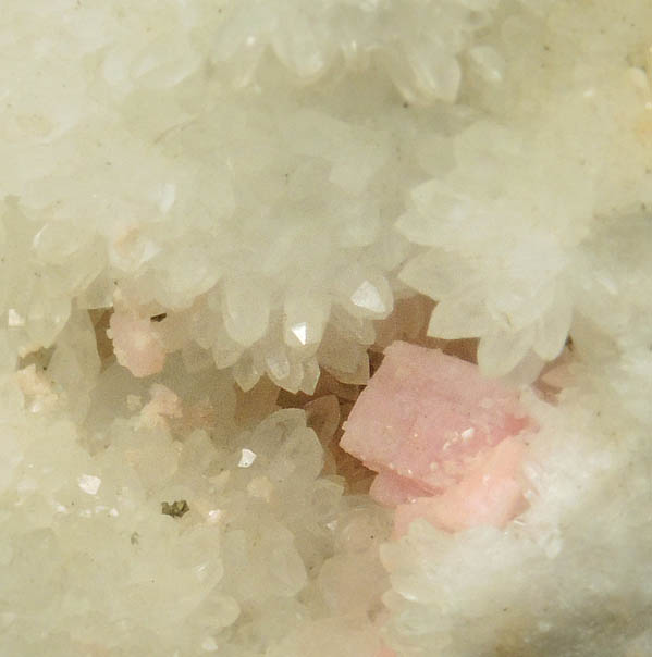 Rhodochrosite on Quartz from Silverton District, San Juan County, Colorado