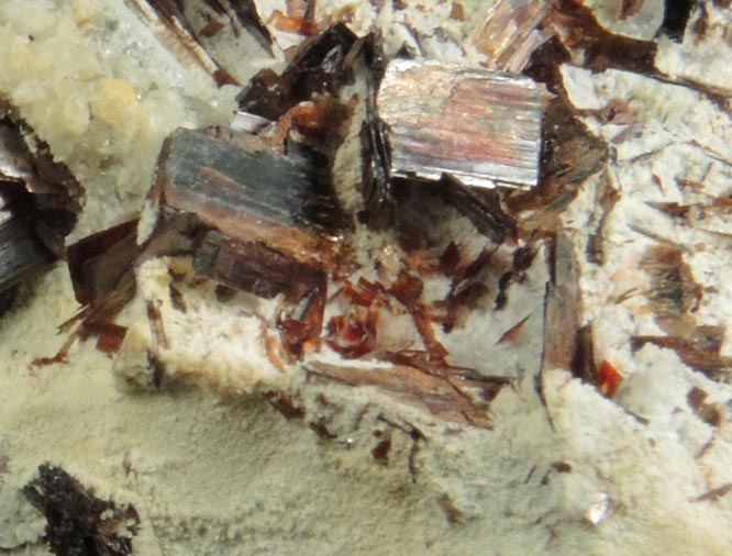 Hbnerite from Adams Mine, Silverton Mining District, San Juan County, Colorado