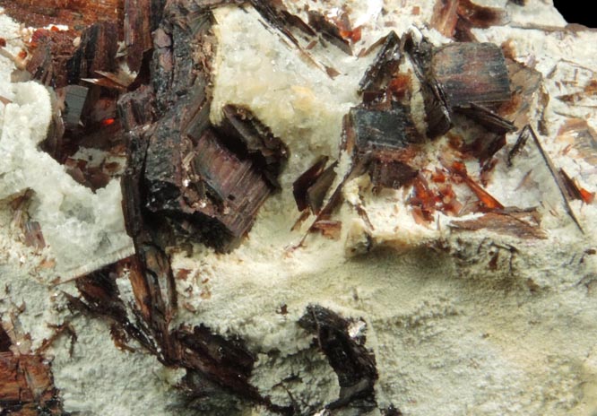 Hbnerite from Adams Mine, Silverton Mining District, San Juan County, Colorado