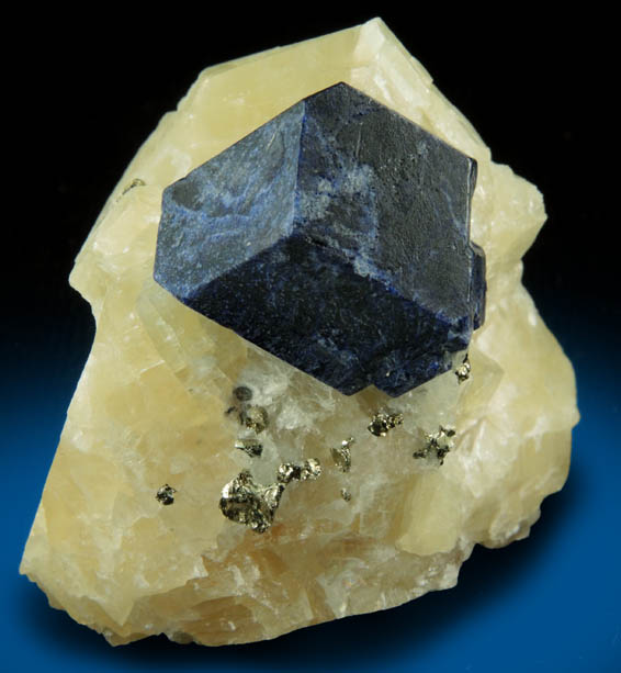 Lazurite var. Lapis Lazuli with Pyrite in marble from Sar-e-Sang, Kokscha Valley, Badakshan, Afghanistan (Type Locality for Lazurite)