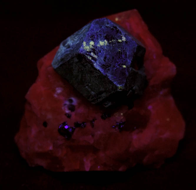 Lazurite var. Lapis Lazuli with Pyrite in marble from Sar-e-Sang, Kokscha Valley, Badakshan, Afghanistan (Type Locality for Lazurite)