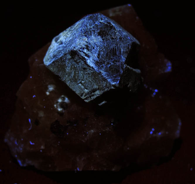 Lazurite var. Lapis Lazuli with Pyrite in marble from Sar-e-Sang, Kokscha Valley, Badakshan, Afghanistan (Type Locality for Lazurite)