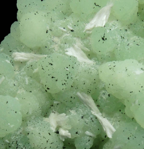 Prehnite pseudomorphs after Anhydrite with Laumontite from Upper New Street Quarry, Paterson, Passaic County, New Jersey