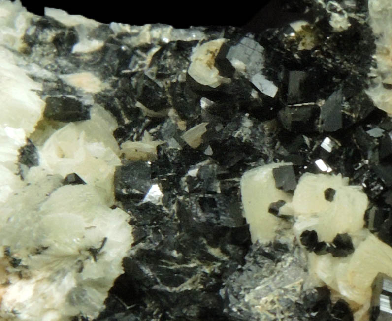 Babingtonite with Prehnite, Hematite and minor Epidote from Cheapside Quarry, East Deerfield, Franklin County, Massachusetts