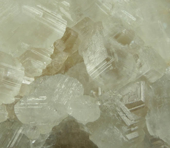 Calcite from Carlile Shale formation (Cretaceous), near La Junta, Otero County, Colorado