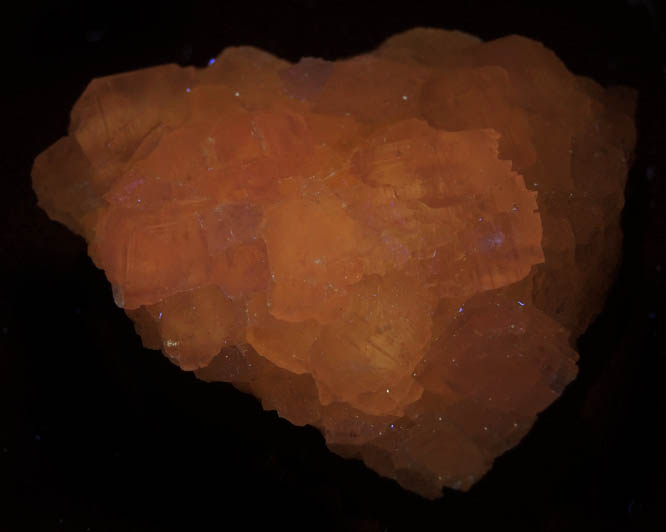 Calcite from Carlile Shale formation (Cretaceous), near La Junta, Otero County, Colorado