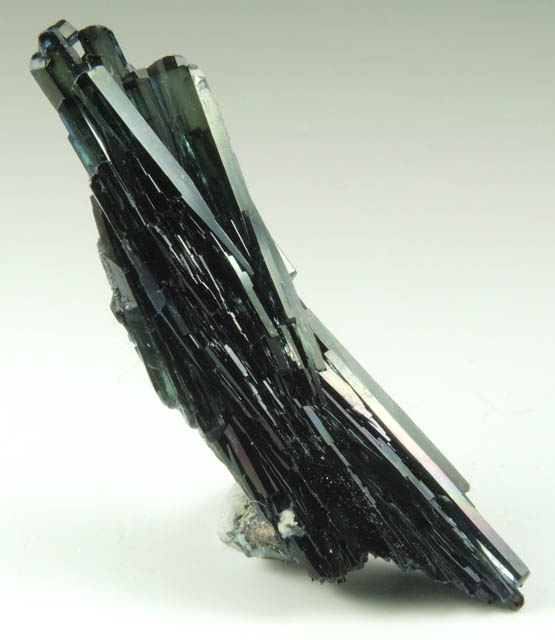 Vivianite from Morococala Mine, Santa Fe District, Oruro Department, Bolivia