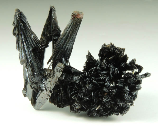 Goethite from Lake George District, Park County, Colorado