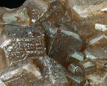 Calcite from Fogle Quarry, Ottawa, Franklin County, Kansas