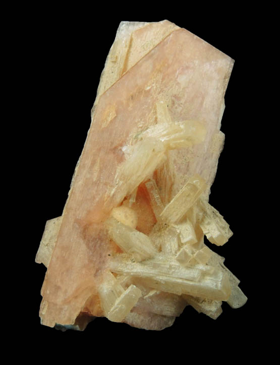 Schizolite and Natrolite from Poudrette Quarry, Mont Saint-Hilaire, Qubec, Canada