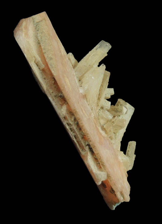 Schizolite and Natrolite from Poudrette Quarry, Mont Saint-Hilaire, Qubec, Canada