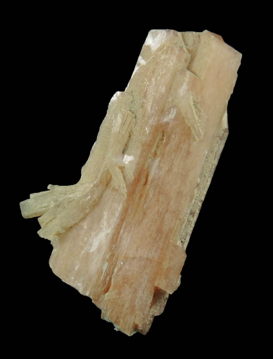 Schizolite and Natrolite from Poudrette Quarry, Mont Saint-Hilaire, Qubec, Canada