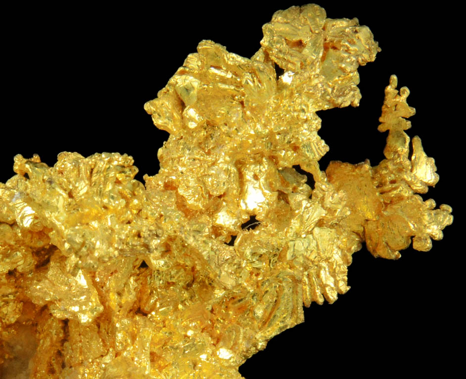 Gold from Sixteen-To-One Mine (16 to 1 Mine), Alleghany, 35 km NE of Grass Valley, Sierra County, California