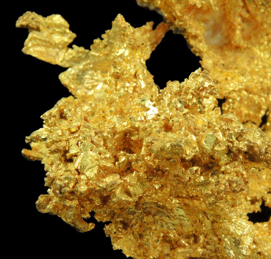 Gold from Sixteen-To-One Mine (16 to 1 Mine), Alleghany, 35 km NE of Grass Valley, Sierra County, California