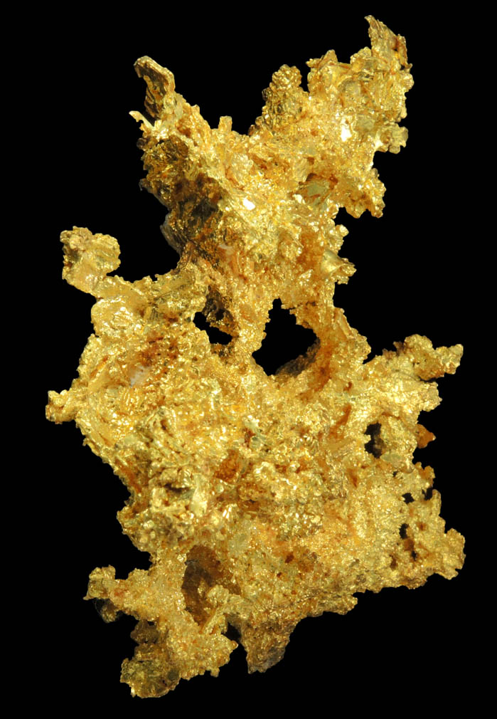 Gold from Sixteen-To-One Mine (16 to 1 Mine), Alleghany, 35 km NE of Grass Valley, Sierra County, California