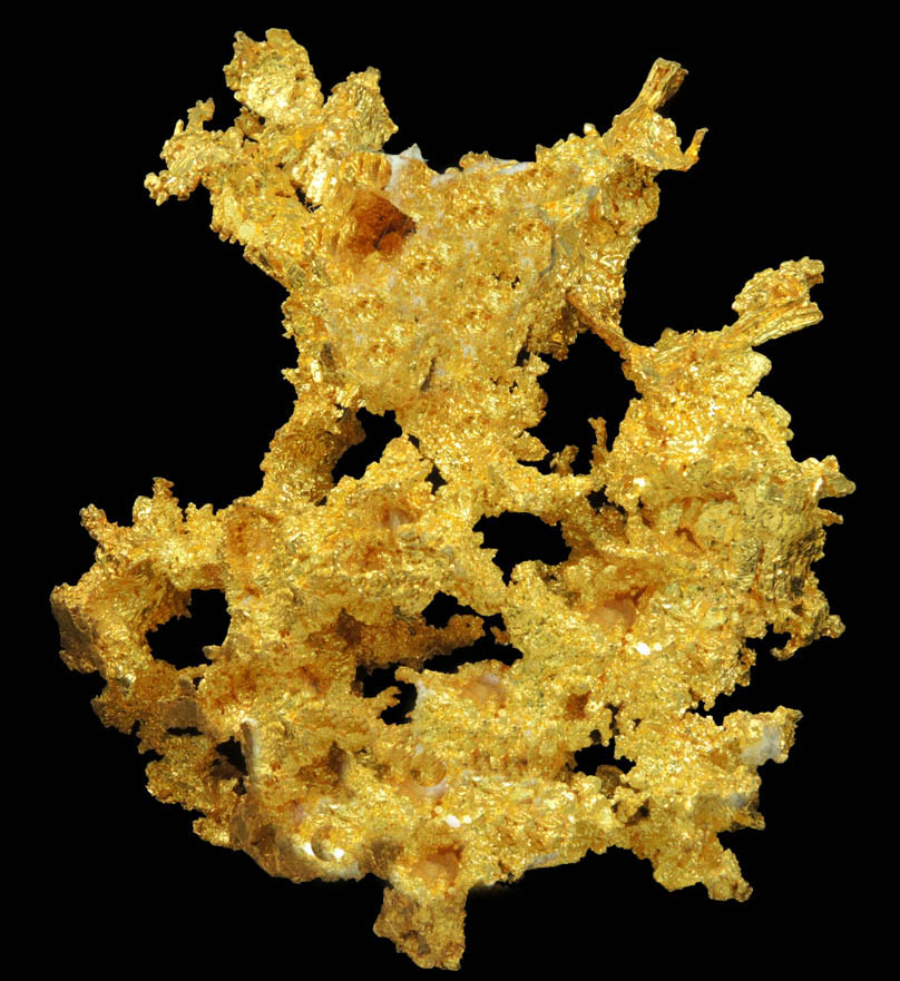 Gold from Sixteen-To-One Mine (16 to 1 Mine), Alleghany, 35 km NE of Grass Valley, Sierra County, California