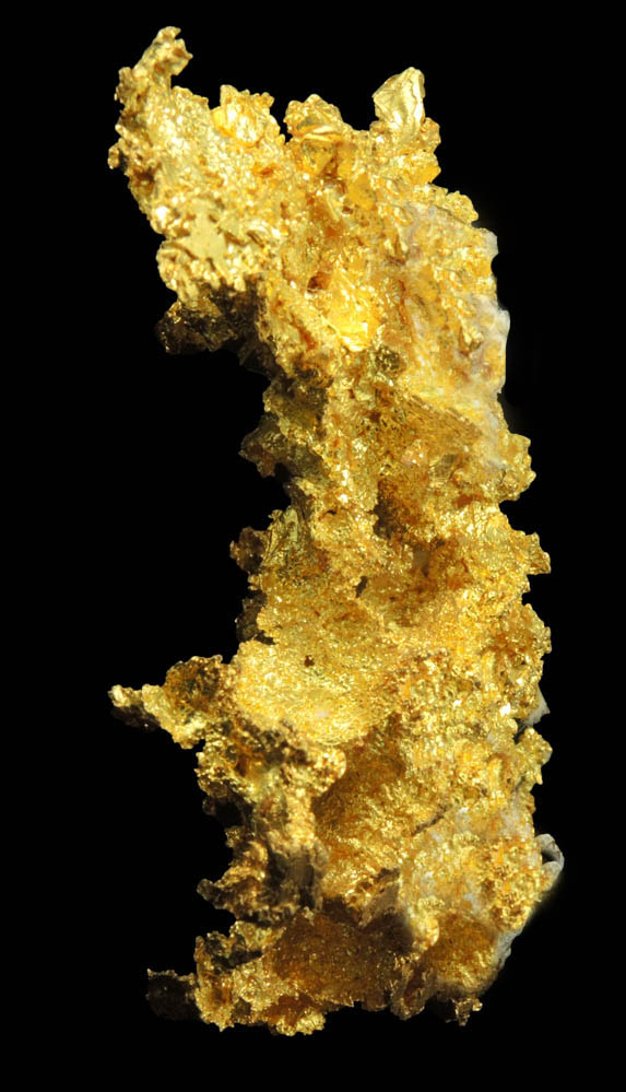 Gold from Sixteen-To-One Mine (16 to 1 Mine), Alleghany, 35 km NE of Grass Valley, Sierra County, California