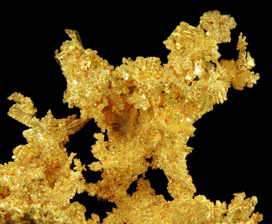 Gold from Sixteen-To-One Mine (16 to 1 Mine), Alleghany, 35 km NE of Grass Valley, Sierra County, California