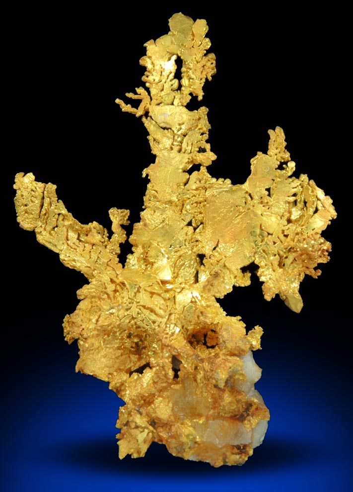 Gold (naturally crystallized native gold) with minor Quartz from Eagle's Nest Mine, Michigan Bluff District, Placer County, California