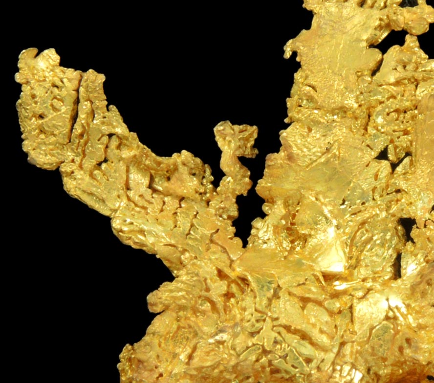 Gold (naturally crystallized native gold) with minor Quartz from Eagle's Nest Mine, Michigan Bluff District, Placer County, California