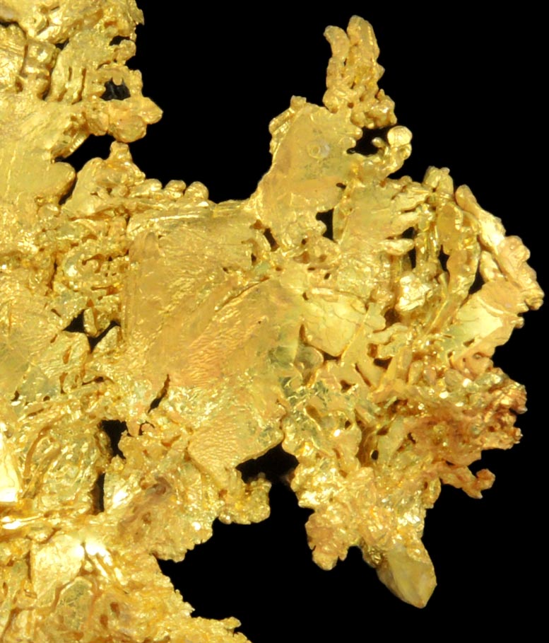 Gold (naturally crystallized native gold) with minor Quartz from Eagle's Nest Mine, Michigan Bluff District, Placer County, California