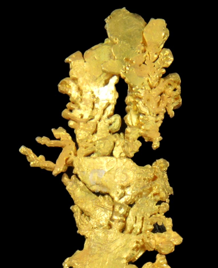 Gold (naturally crystallized native gold) with minor Quartz from Eagle's Nest Mine, Michigan Bluff District, Placer County, California