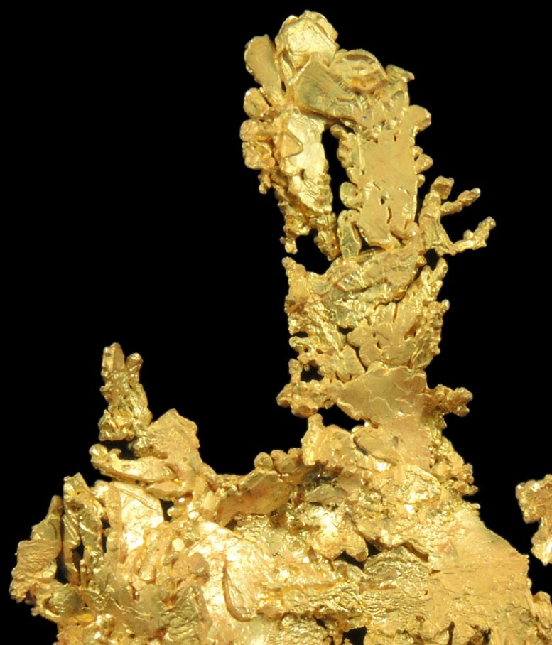 Gold (naturally crystallized native gold) with minor Quartz from Eagle's Nest Mine, Michigan Bluff District, Placer County, California